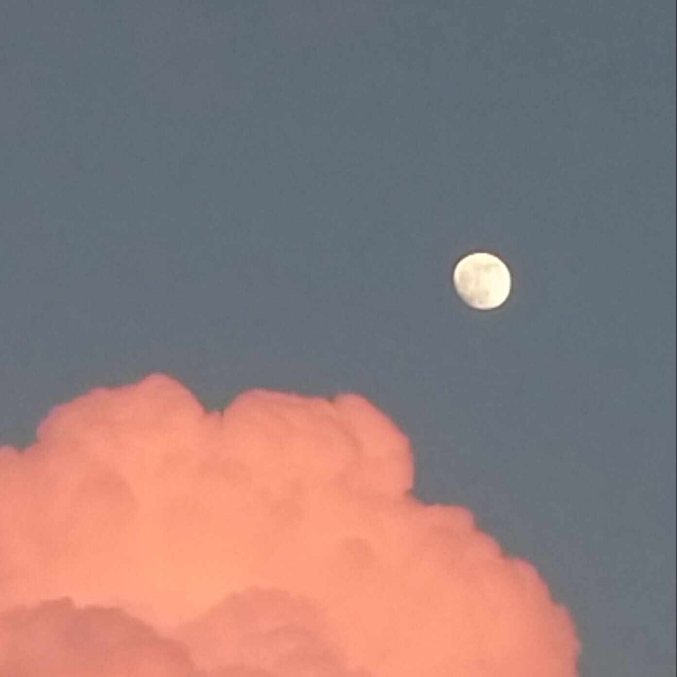 2000年代のYELLOW MAGIC ORCHESTRA [番外編]-高橋幸宏さんを偲んで