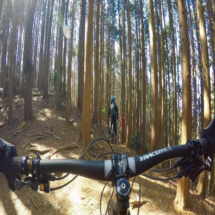 自転車で山頂付近まで登ることが出来る山 北摂