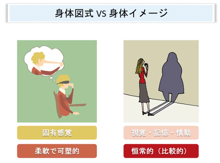 言葉の定義 ~身体図式 VS 身体イメージ~|かずん