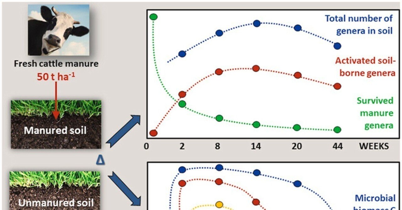 木材に生息する微生物のおかげで、木は気候に 10% 有益です