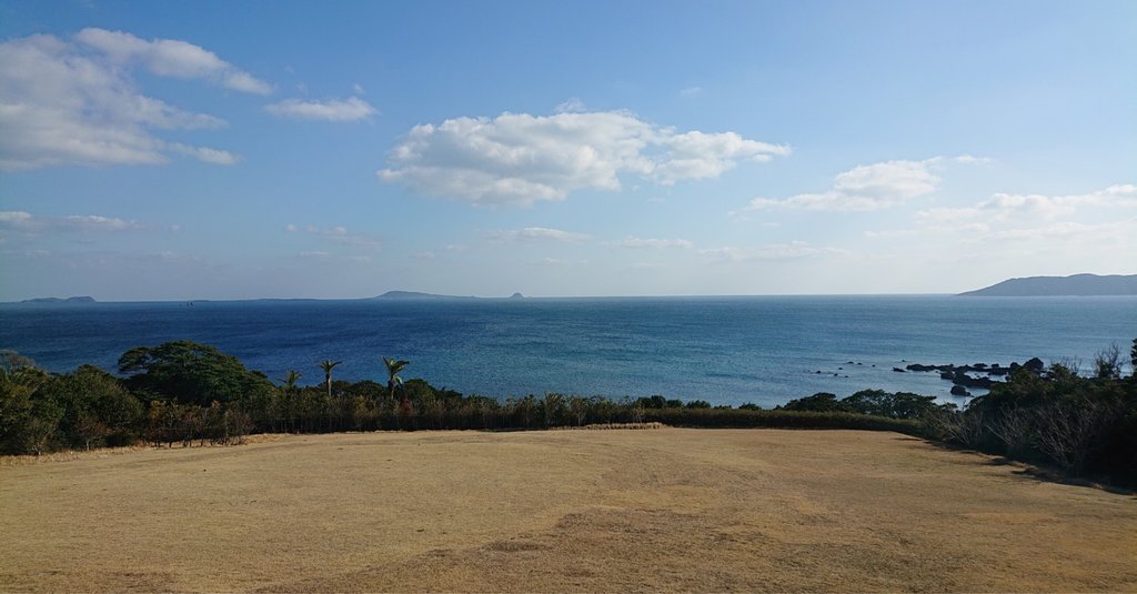 sae@映画ソムリエ