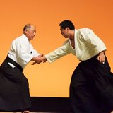 天通合氣道  Tentsu-aikido