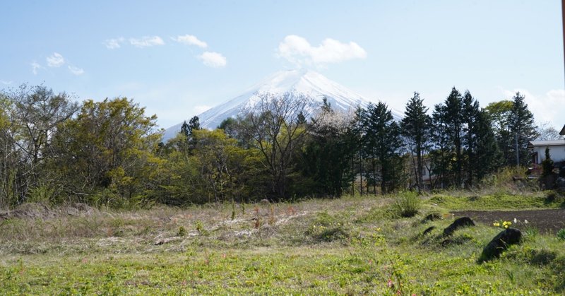 コーラ職人コーラ小林の「日本を、飲む。」2023年5月「富士吉田の新ヨモギ」