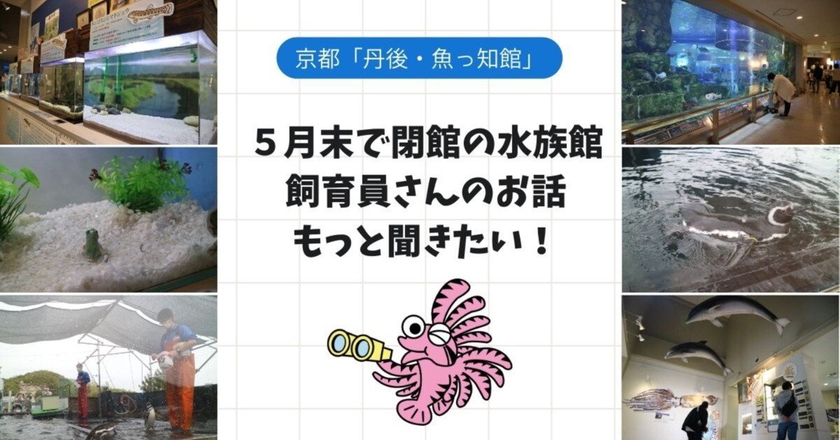 ddd789b4a4d9b2d7507f79668dd68d