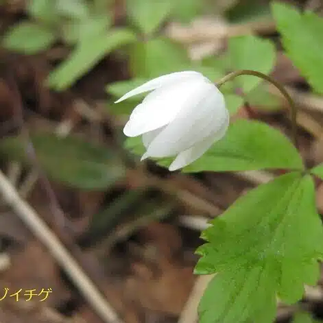 Jun Taka