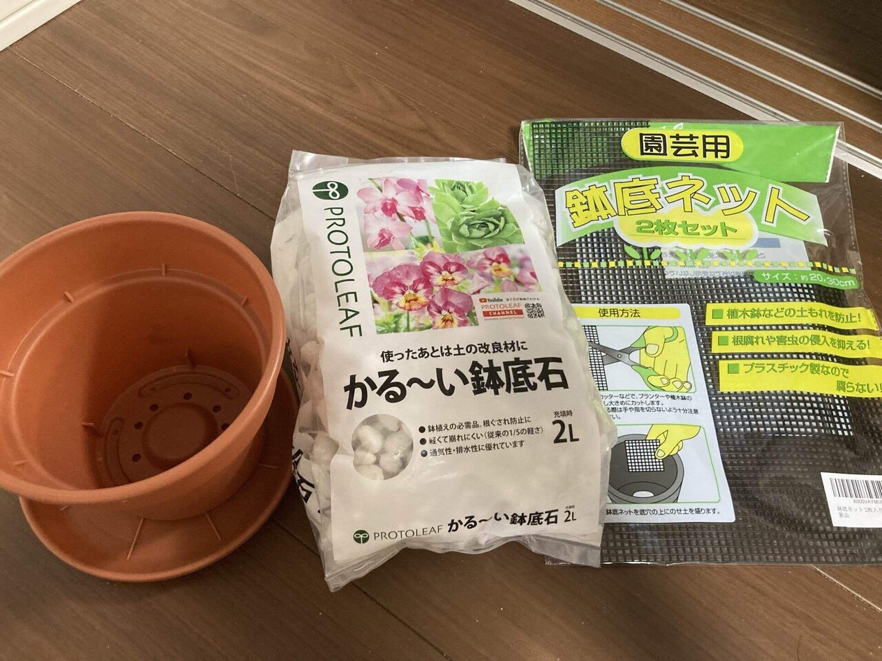 アボカド 水耕栽培から鉢植えに｜ききゆ