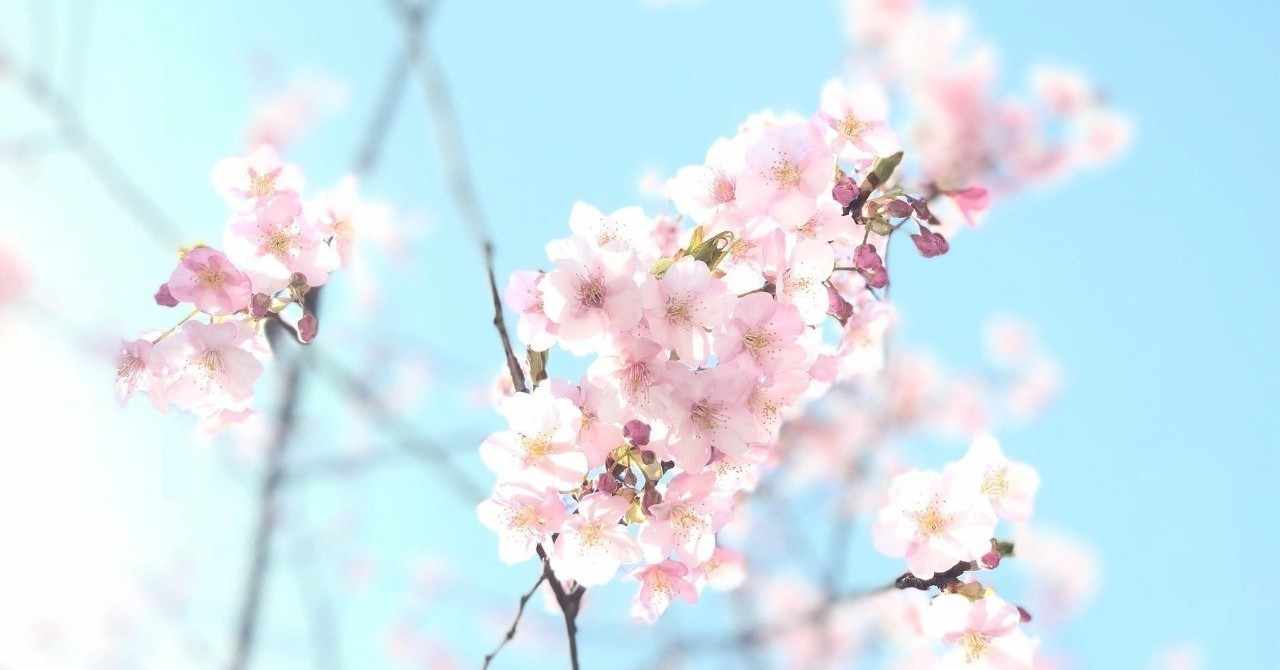 桜咲かない の新着タグ記事一覧 Note つくる つながる とどける