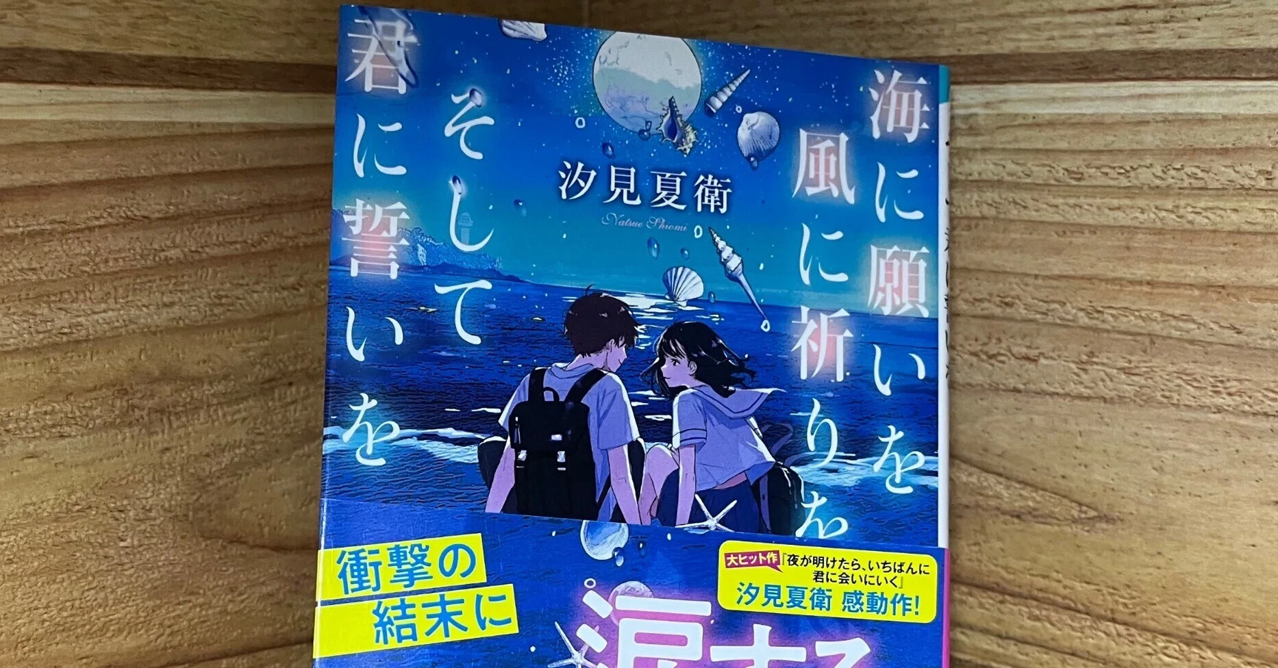 読書感想文 『海に願いを 風に祈りを そして君に誓いを』｜水瀬綾乃