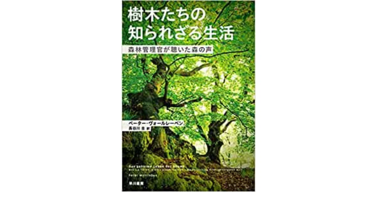 Are Trees Angry?｜やどかり