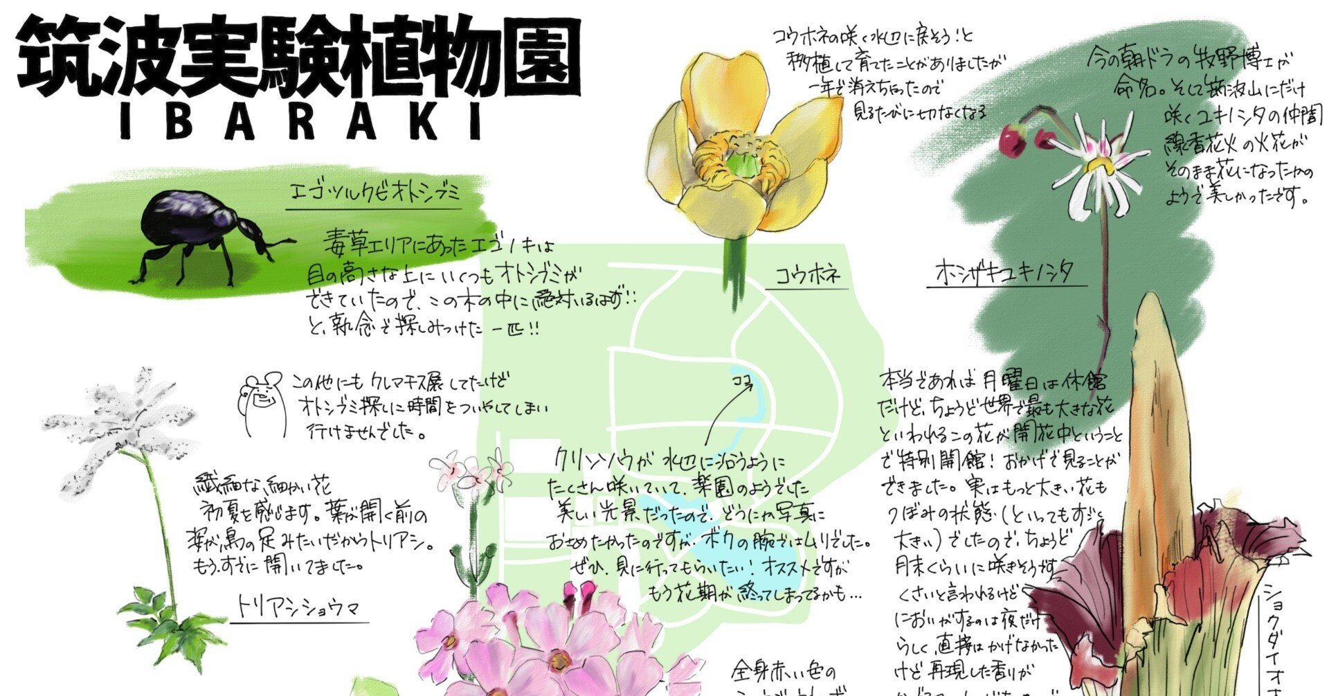 mitukiさま専用（原画）実りの花畑 ほか　8点おまとめ 961e974fdc763da273f7d854731282