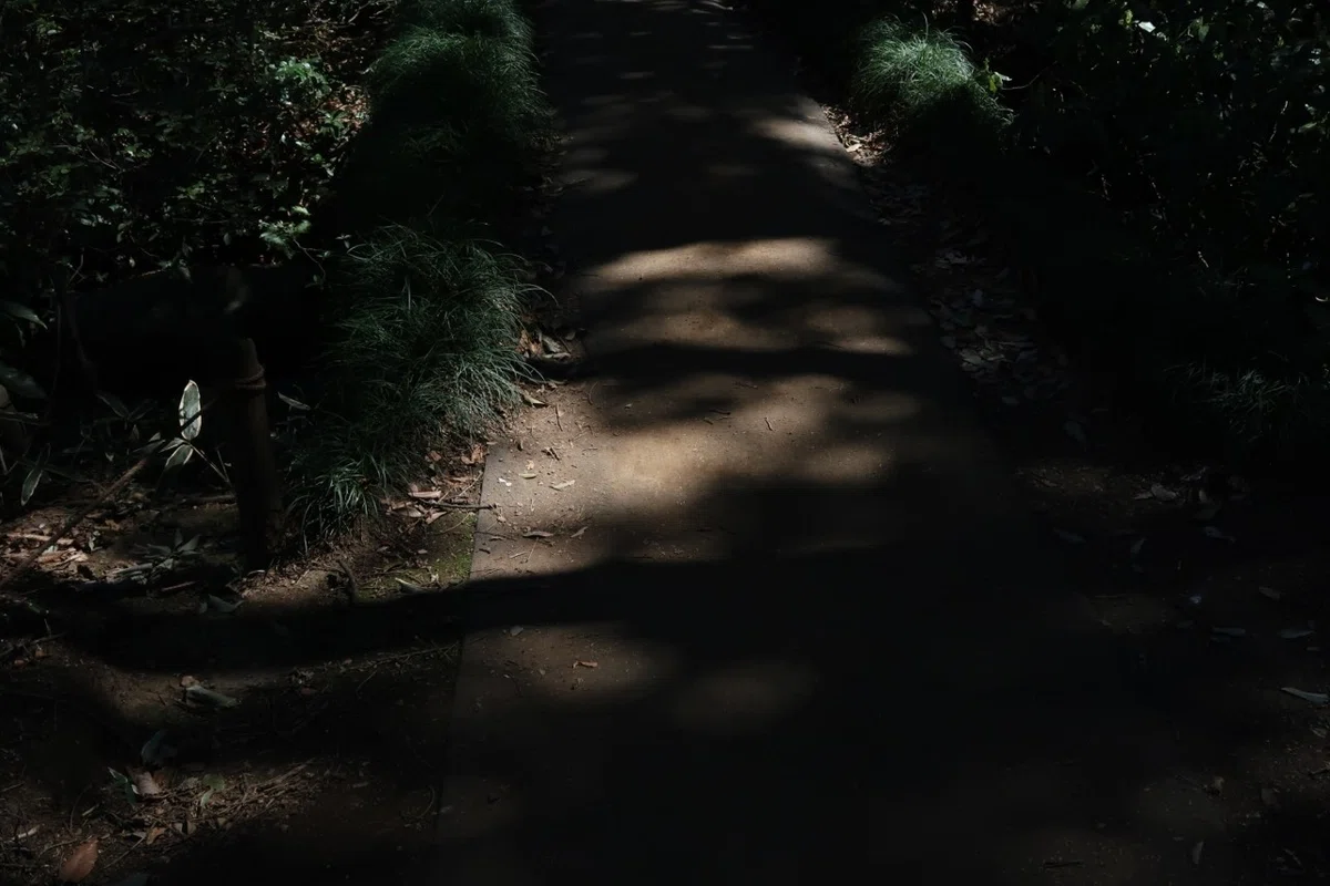 画像17