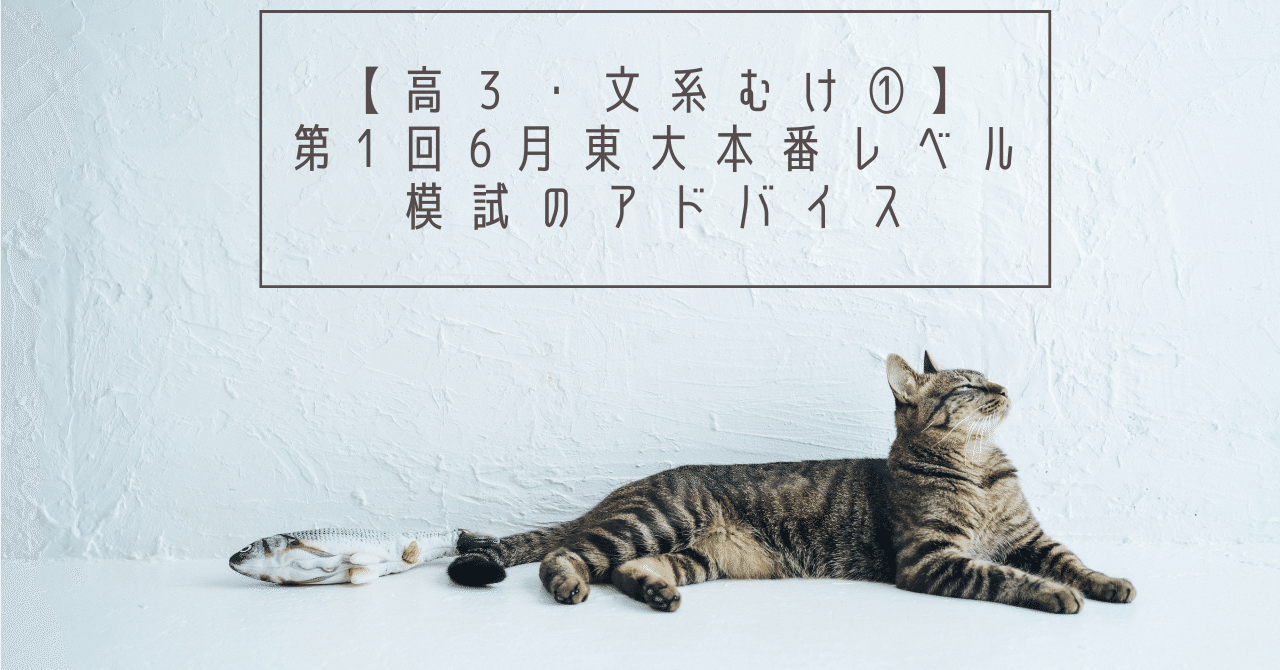 高3・文系むけ①】第1回6月東大本番レベル模試のアドバイス