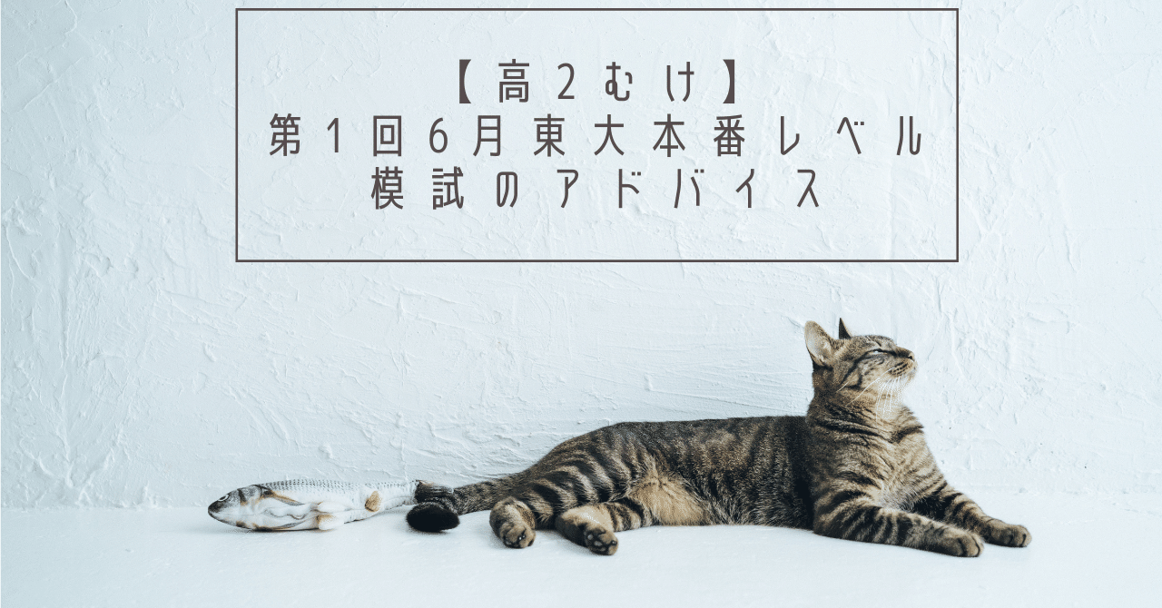 貴重⭐️東進 2024年度 第1回 6月 東大本番レベル模試（2回分） 2024年6月実施 第1回東大本番レベル模試 スタッフによる所感