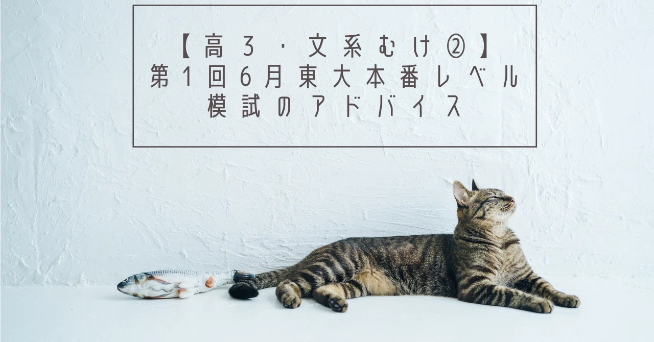 高3・文系むけ②】第1回6月東大本番レベル模試のアドバイス｜東進