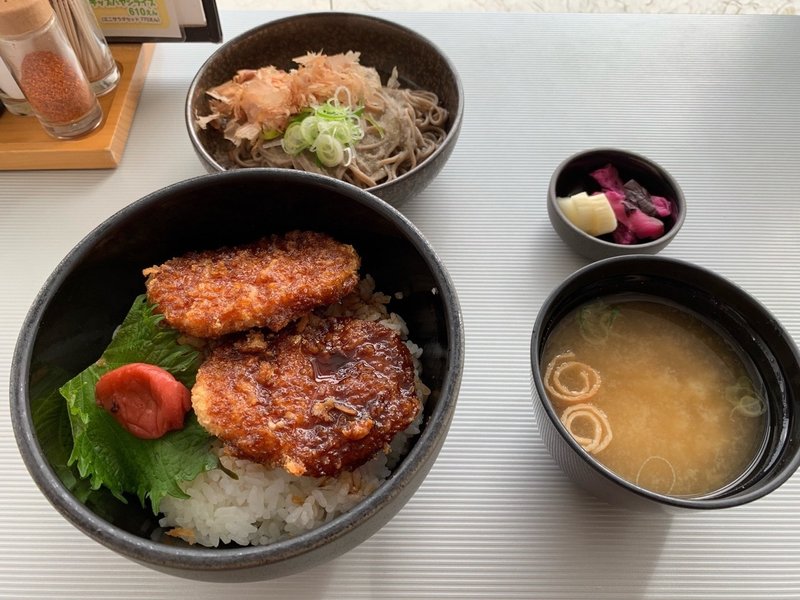 15日目 最終日 福井県立恐竜博物館 Mokiwo Oneder Note 15日目 最終日 福井県立恐竜博物館 Mokiwo Oneder Note