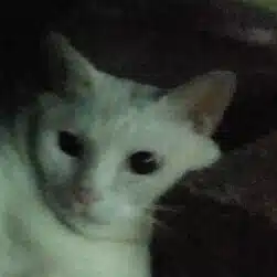 シナモンパン