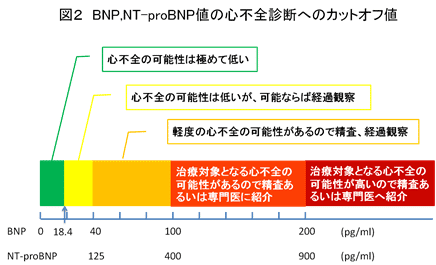 高齢心不全患者に対する理学療法 高齢心不全患者に対する理学療法【全2巻・分売不可】 高齢心不全