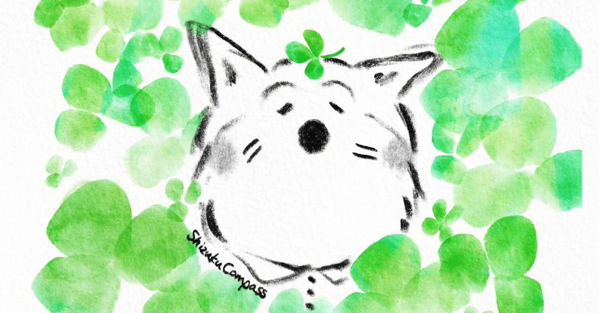 猫好きなのに猫アレルギー｜HagieMaki