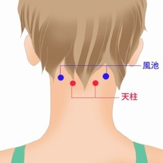 頭皮マッサージの効果 Inner Peace Note 頭皮マッサージの効果 Inner Peace Note