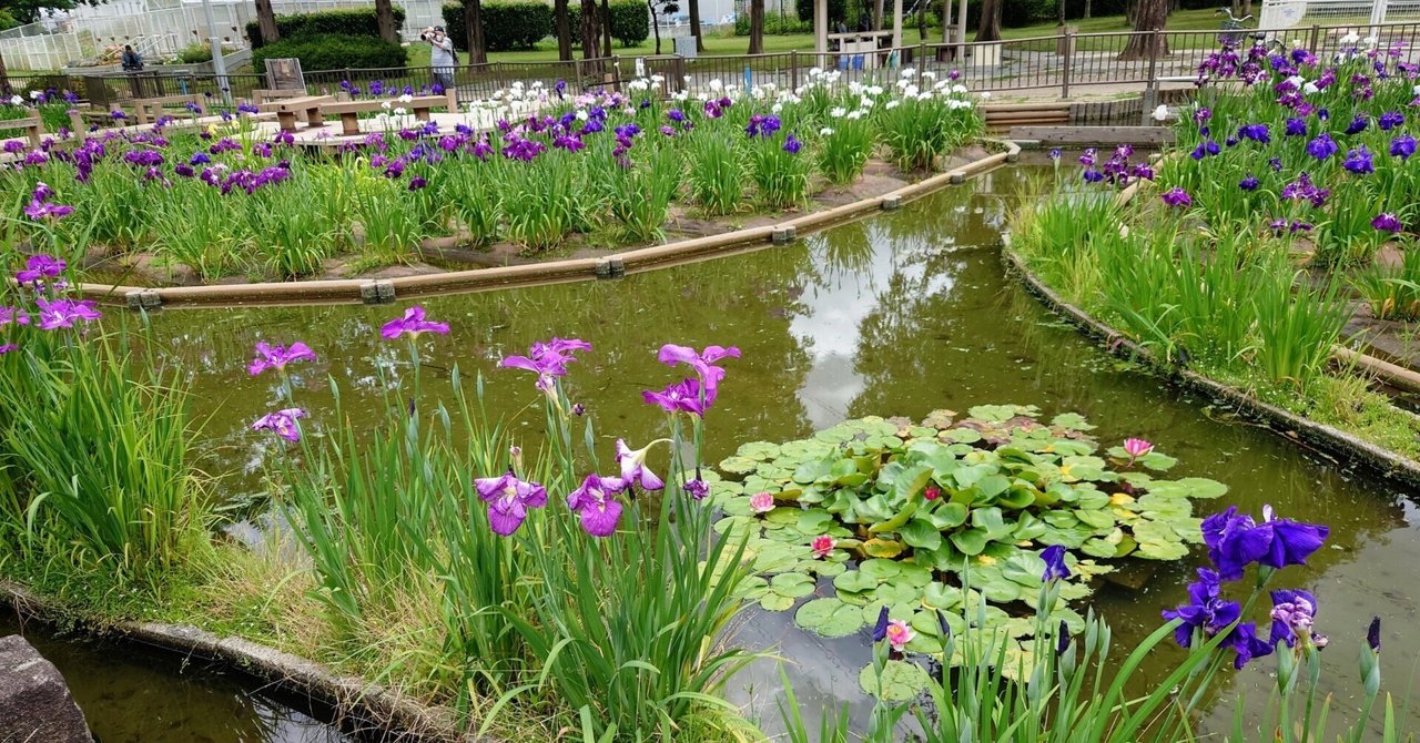 中国清朝時代 瓢型花入 高さ15㎝ 東Y6-1003☆2Fトコヒ
