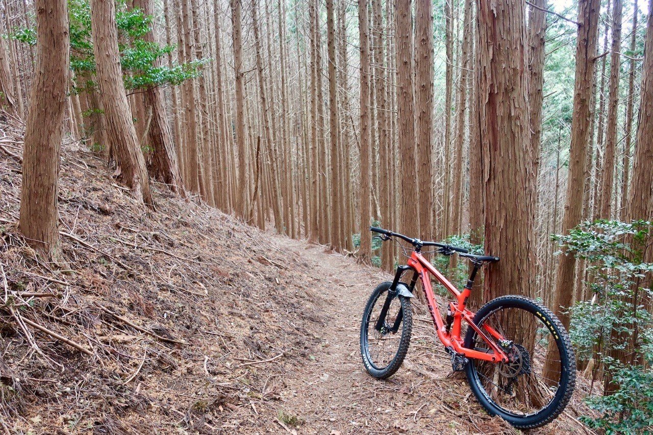 北摂 Mtbトレイルライド 天台山 Mtbクロニクル Note