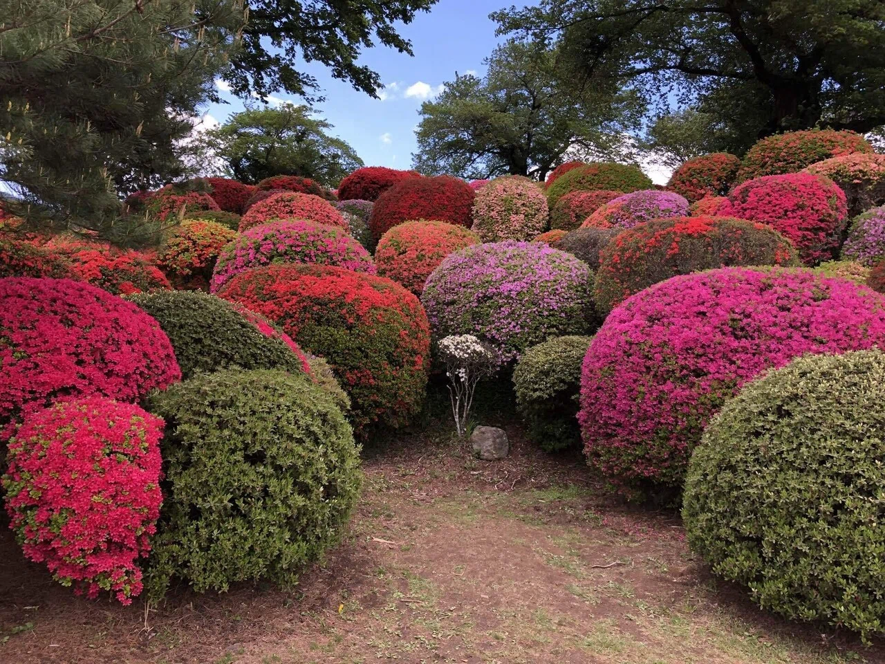 鶴峯公園と片倉兼太郎【銅像コレクション】｜菜七子