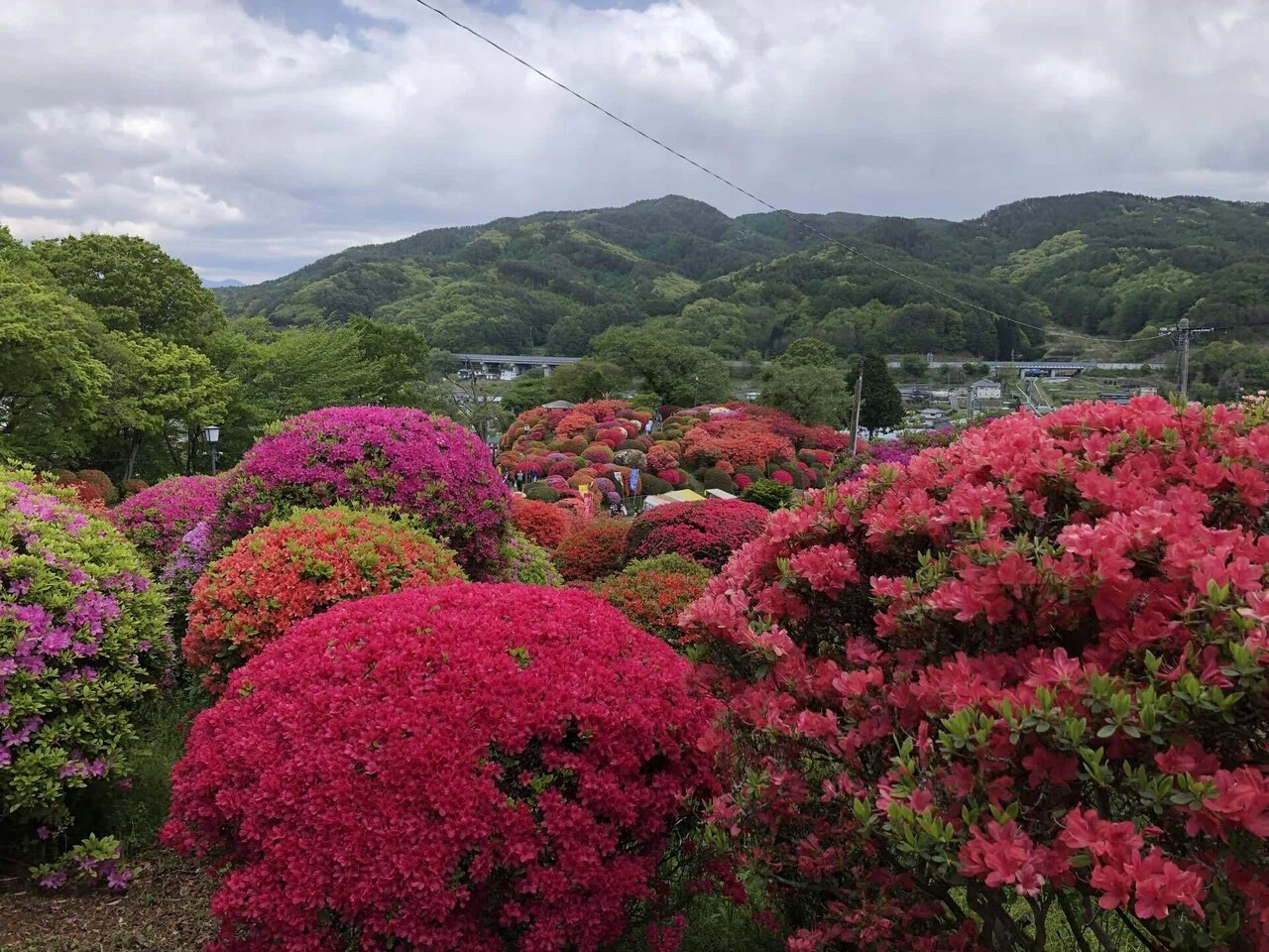 鶴峯公園と片倉兼太郎【銅像コレクション】｜菜七子
