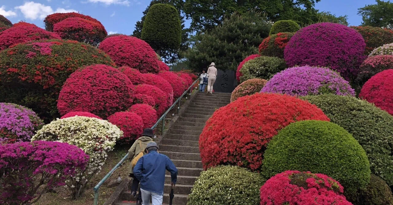 ブロンズ 二代目片倉兼太郎像 鶴峯公園と片倉兼太郎【銅像コレクション】｜菜七子