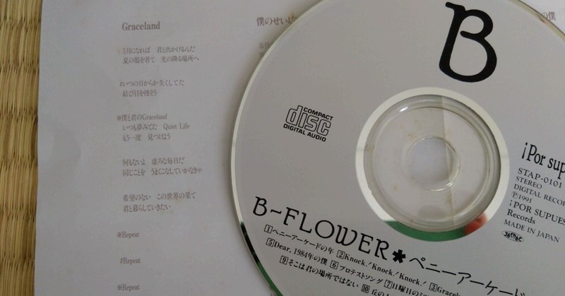 『 Graceland 』〜 ペニーアーケードの年 / b-flower 