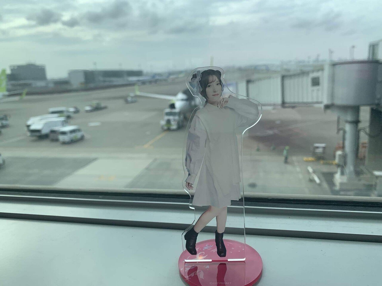 宮瀬玲奈卒業コンサート｜SHUN(道産子にゃいと)