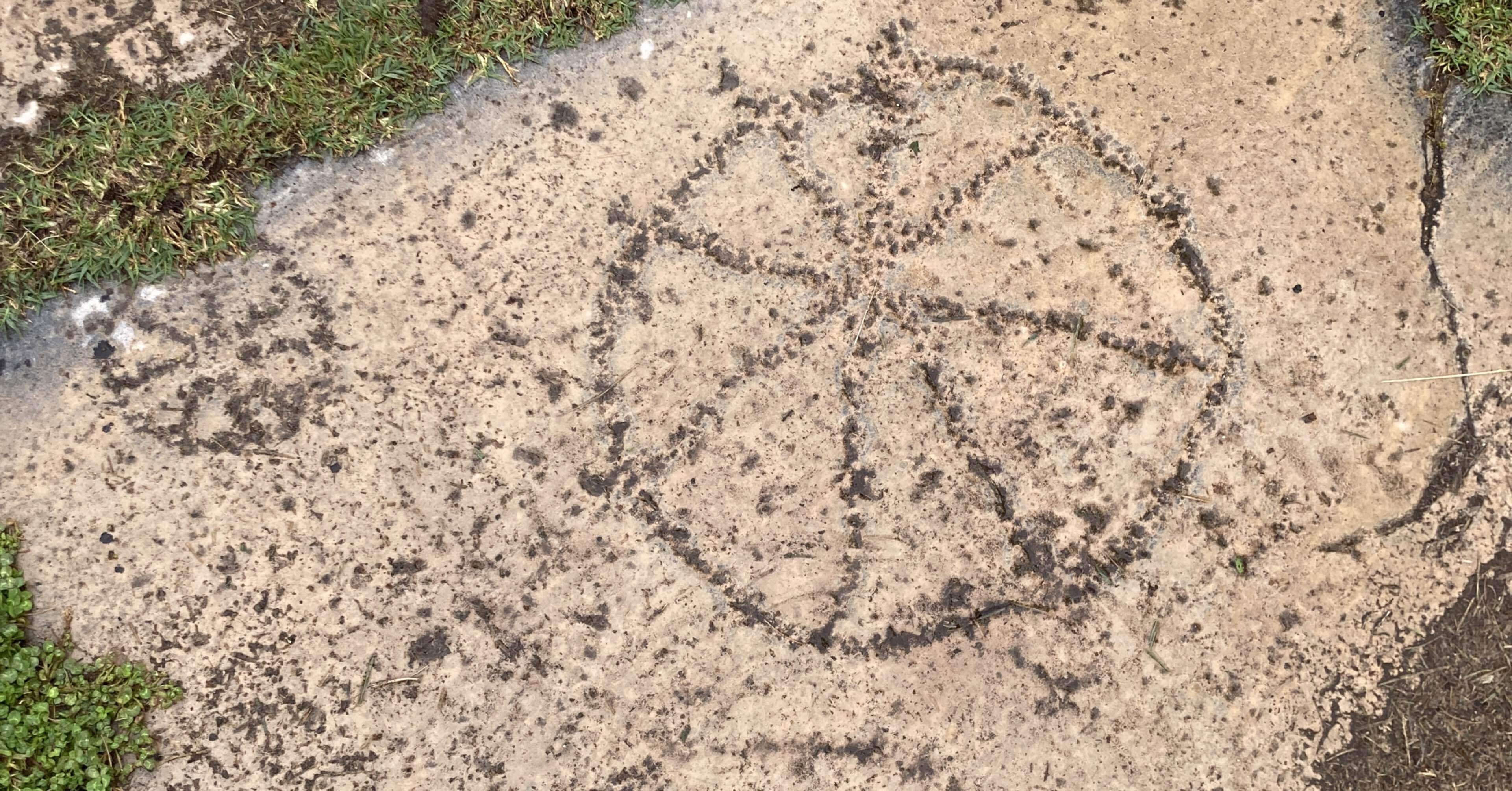 美の女神が守る町｜ころのすけ