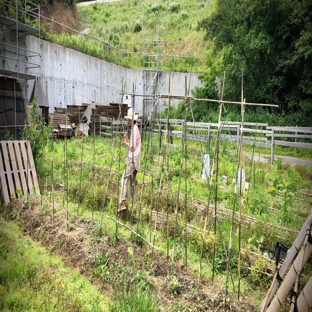 畑サンデーpart.2 夏野菜定植🪴｜GOOD CIRCLE / Organic Comunity Farm
