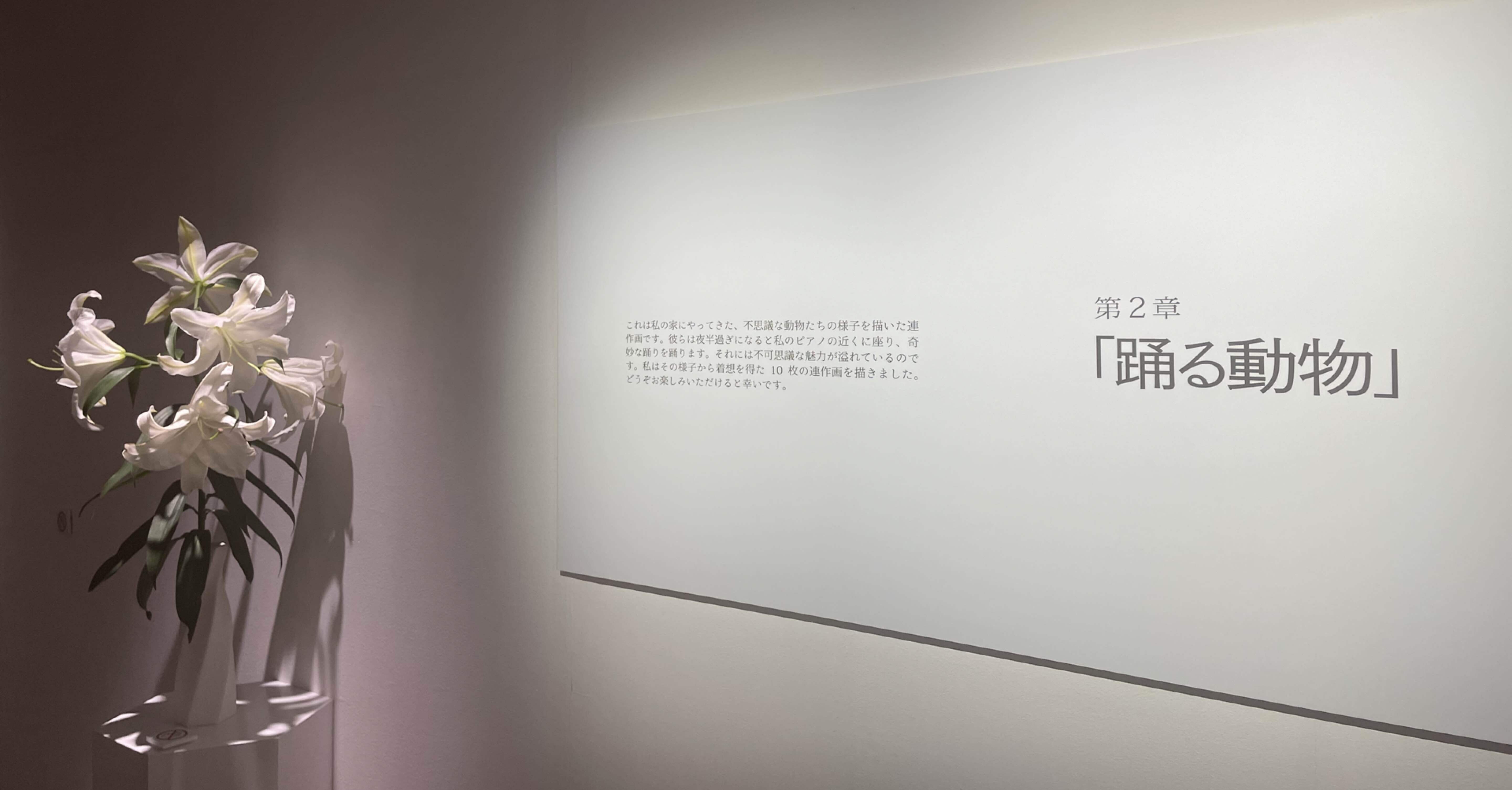 夢十夜 夢10夜 第肆夜 -HEBI- ｜全商品一覧や手品グッズ揃うマジック