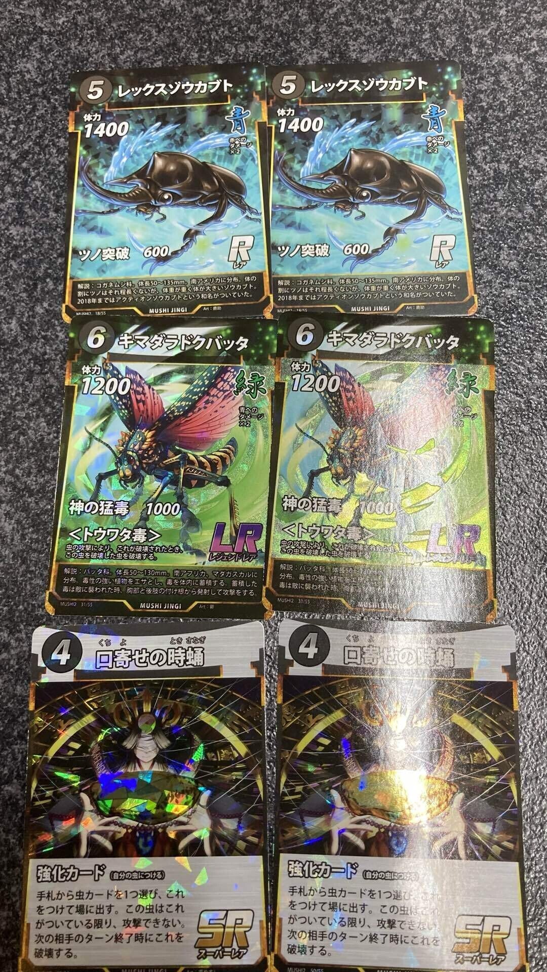 蟲神器 キマダラドクバッタ 兜虫の甲冑 アレクサンドラトリバネアゲハ
