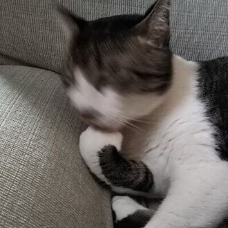 興梠丈夫@駒場のビラ