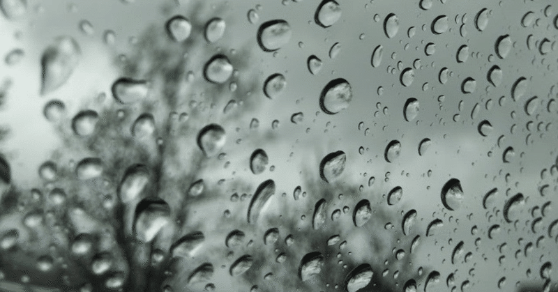 雨粒の果実