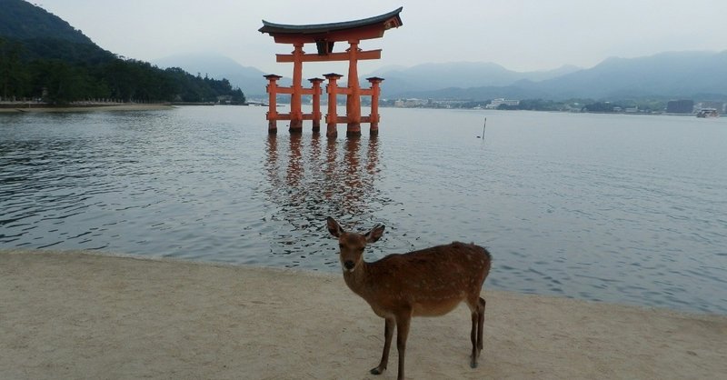 【旅の写真】厳島神社と鹿