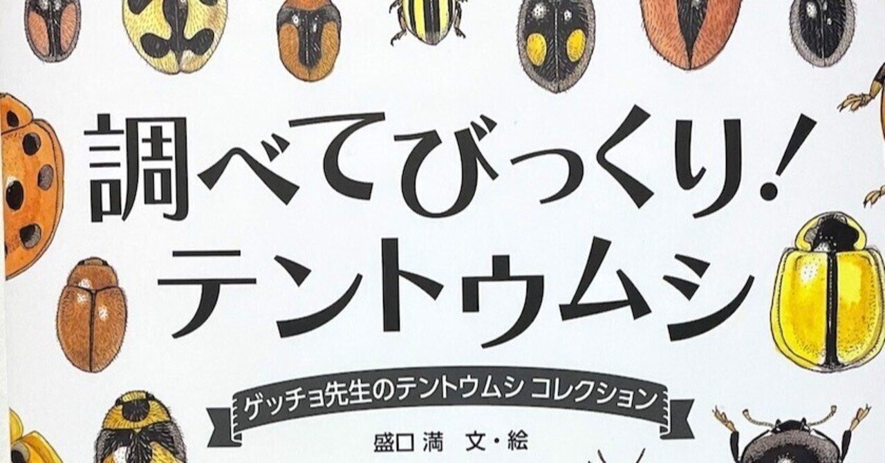 ゲッチョ先生のイモムシ探検記 | 盛口 満 |本 | 通販 | Amazon