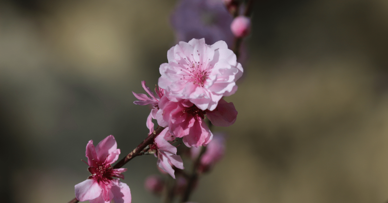 家内制手工業×デジタル革命|masakaguchi