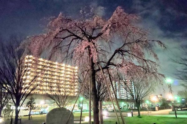 山谷堀公園 の新着タグ記事一覧 Note つくる つながる とどける 山谷堀公園 の新着タグ記事一覧 Note つくる つながる とどける