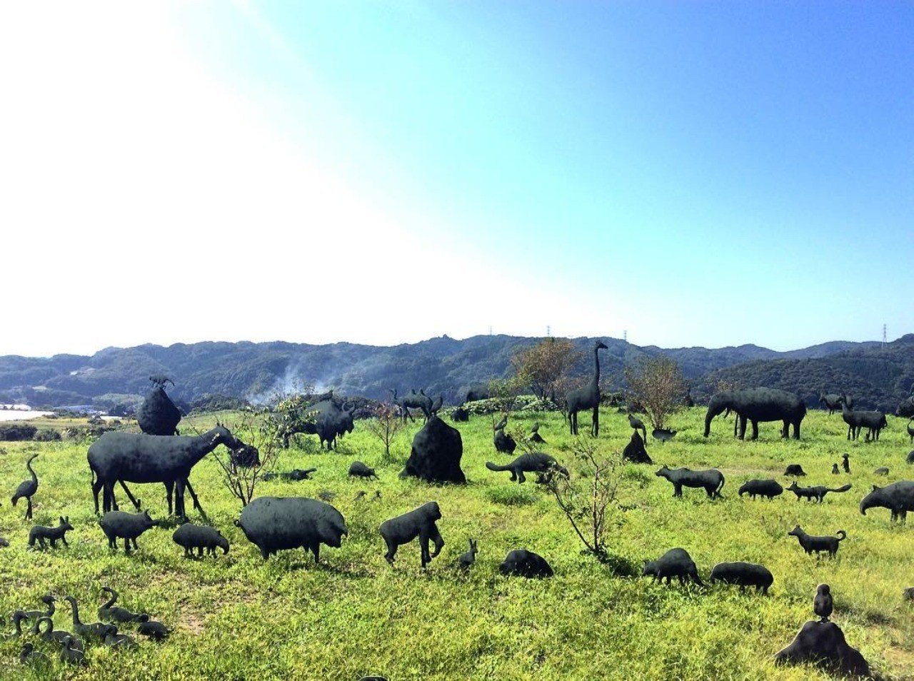 アートプロジェクトの時代 が終わる前に 地域に文化芸術を残すためにできること 田島悠史 Note