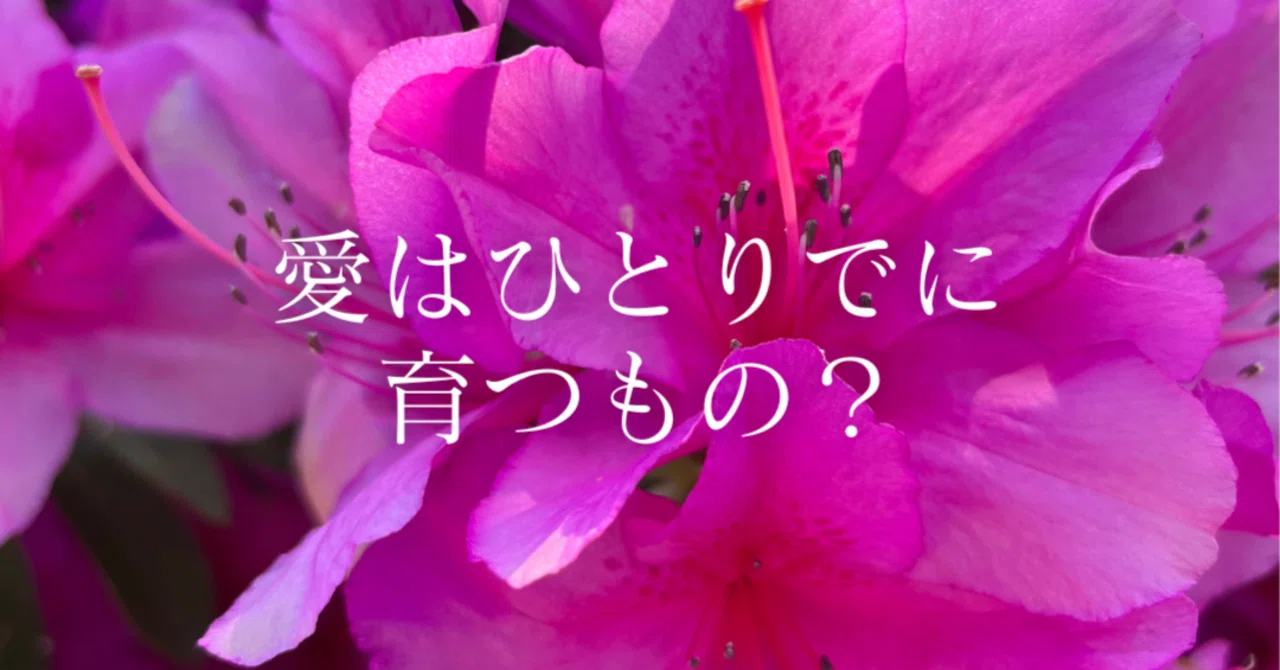 愛はひとりでに育つもの？｜綱嶋 陽子（つなしま ようこ）