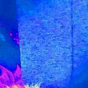 過呼吸なスチノリ