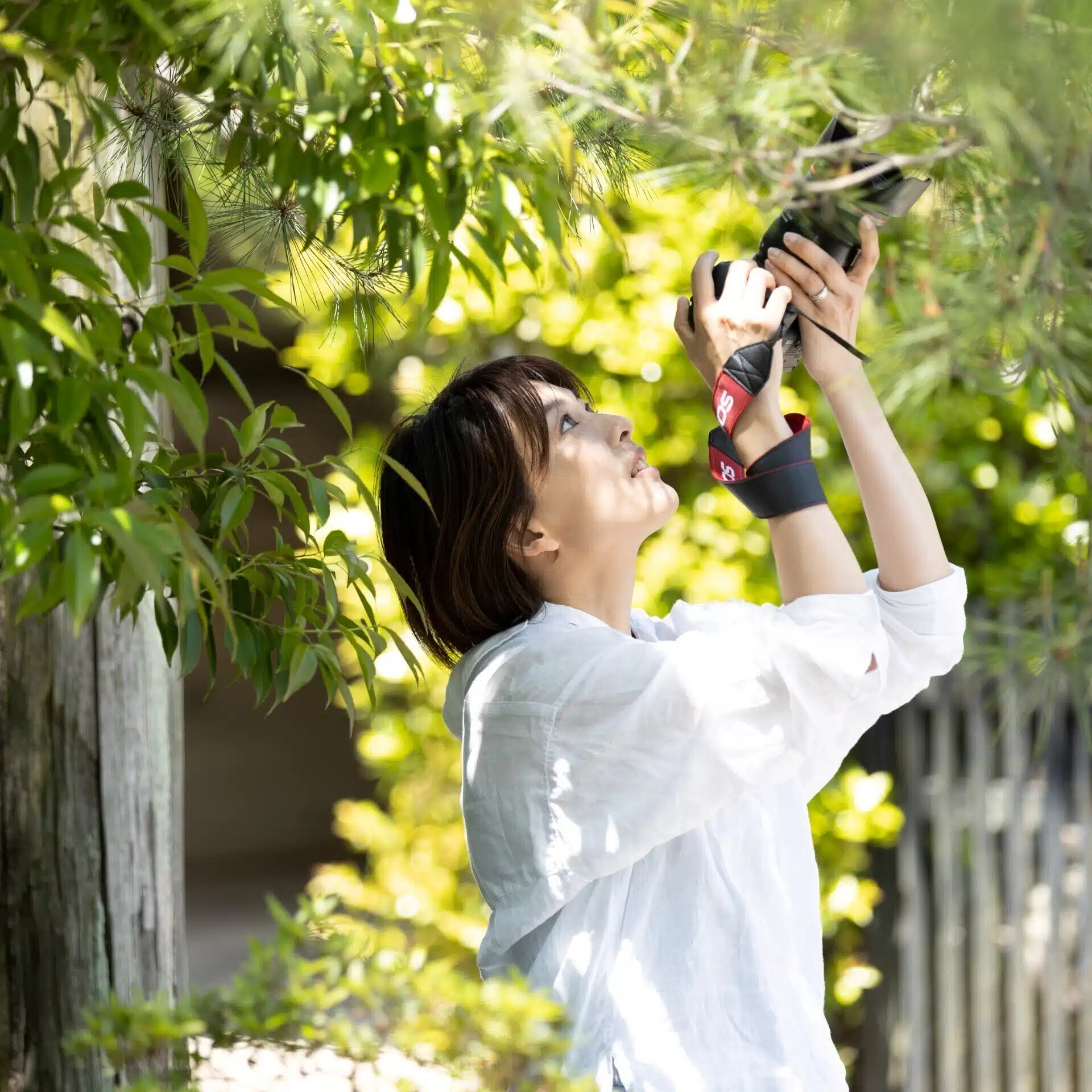 出張撮影Your Photography