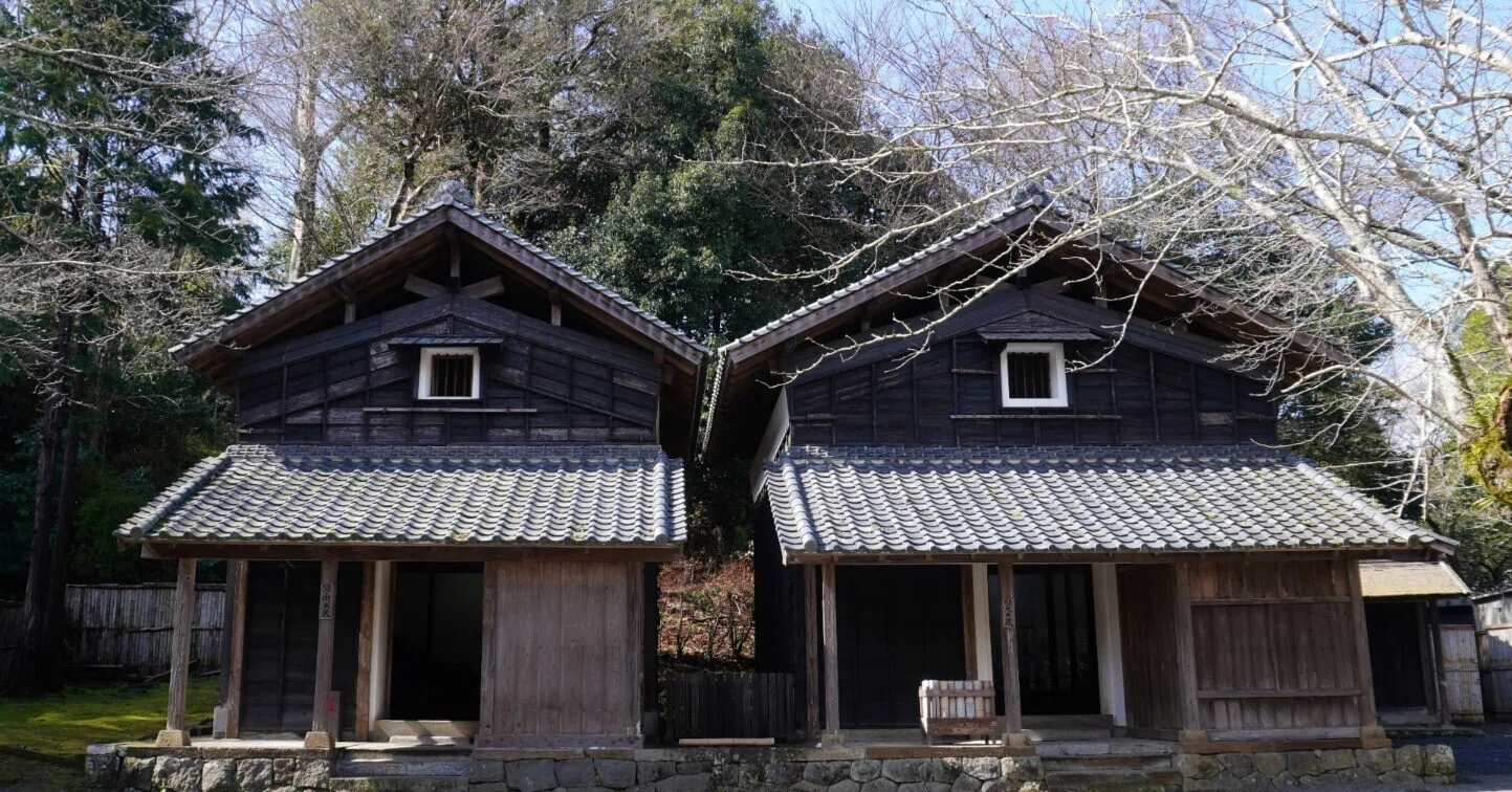 歴史・文化を活かした伊豆地域の魅力向上 NPO法人伊豆学研究会 理事