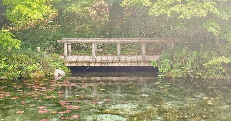 【旅×岐阜】新しい観光スポット　モネの池