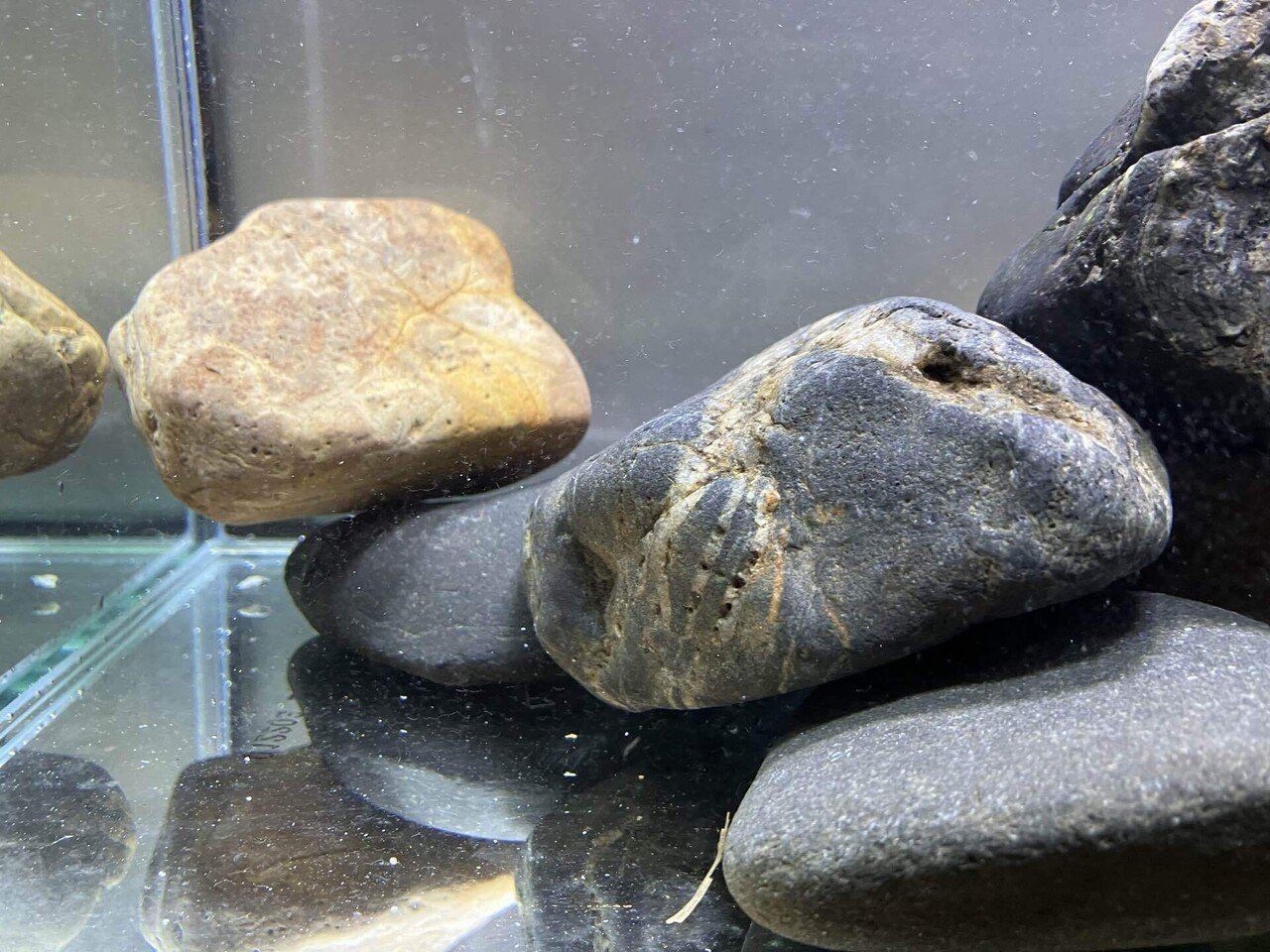 3.5 拾った石の紹介｜もぐりうむ_もぐ