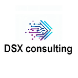 DSX Consulting
