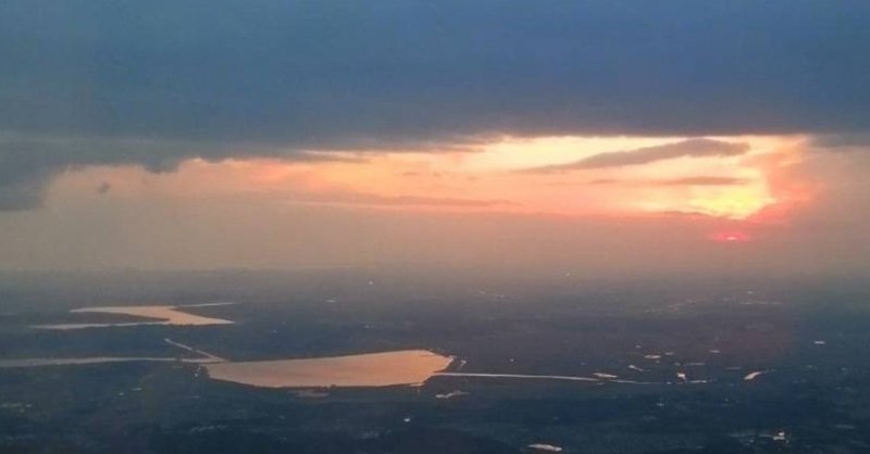 最強の失恋ソング 猫 あいみょん まおこ Note