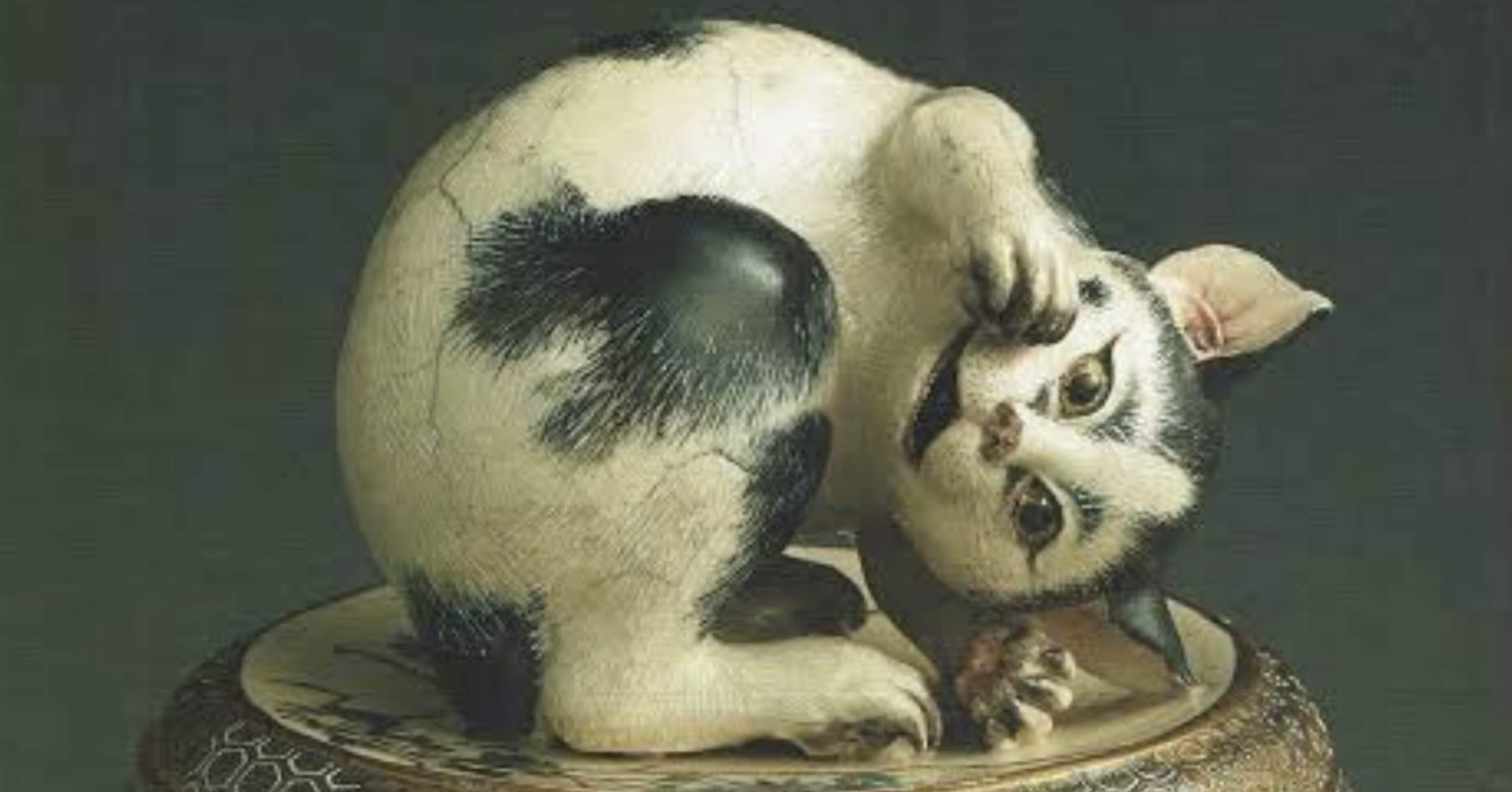 宮川香山｜EGGSEED